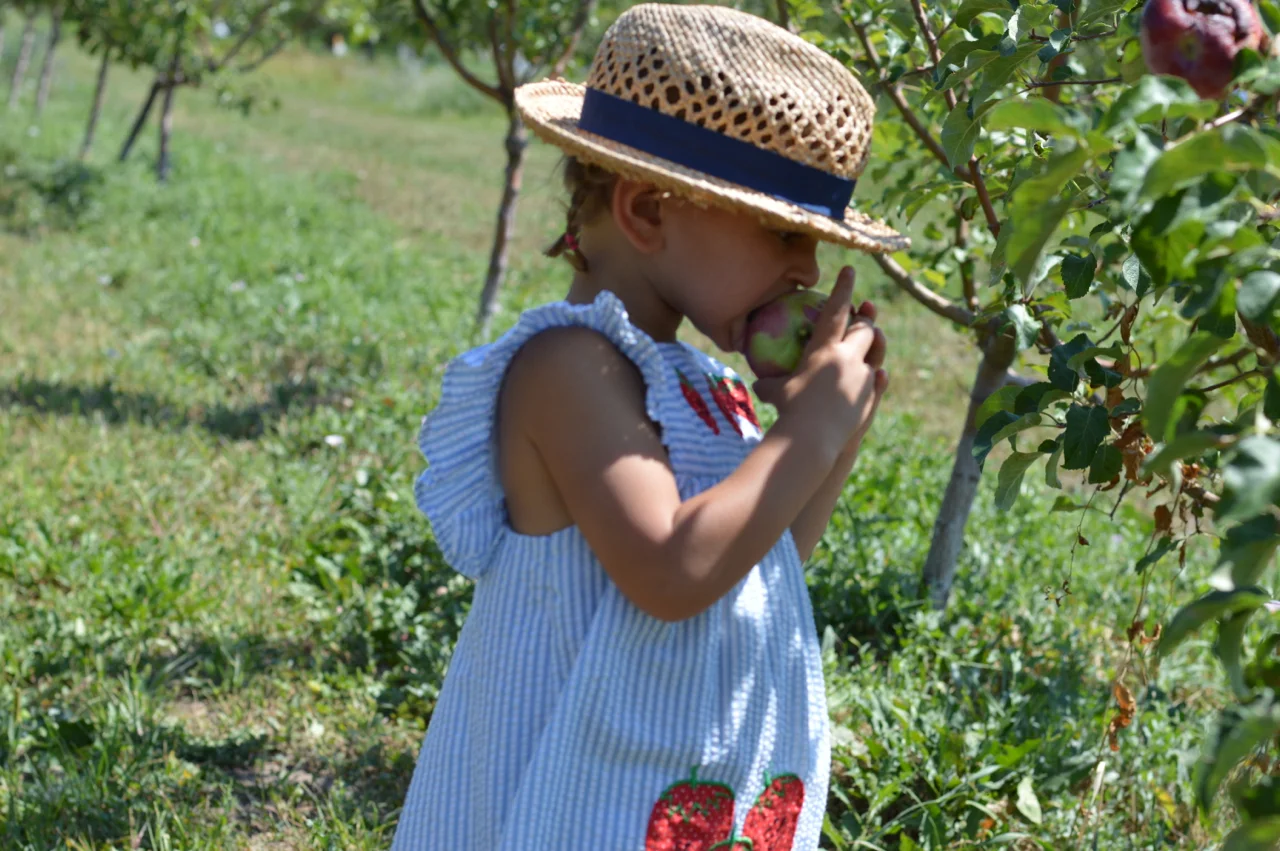 Fruit-Picking-at-Delicious-Orchards-40.jpg
