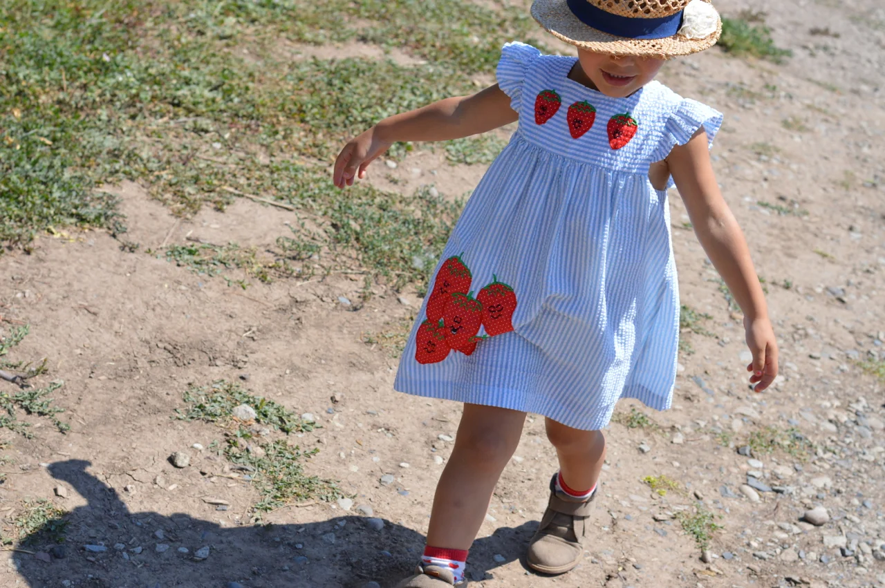 Fruit-Picking-at-Delicious-Orchards-44.jpg