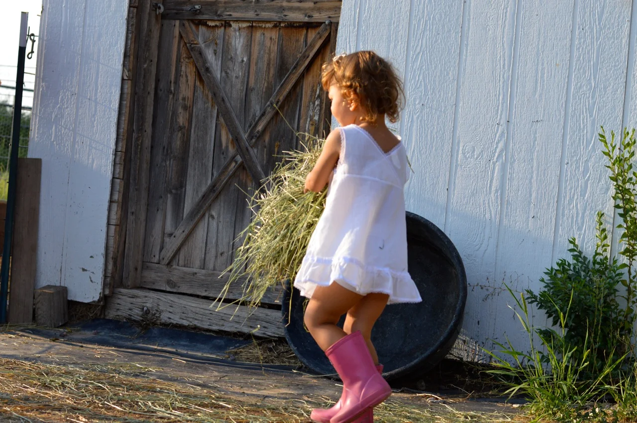 Olathe-Colorado-Hay-Farm-7.jpg