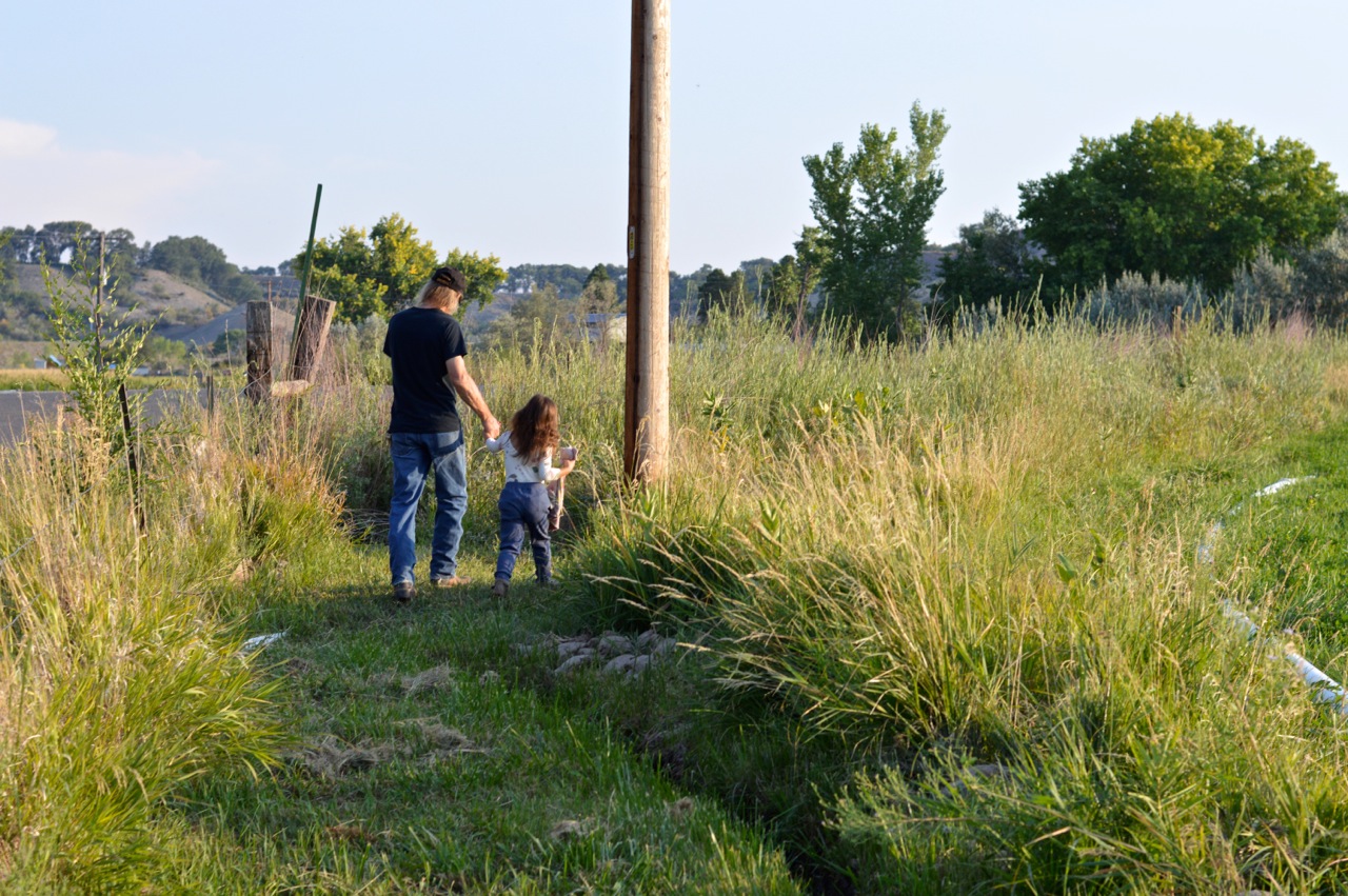 Olathe-Colorado-Hay-Farm-17.jpg