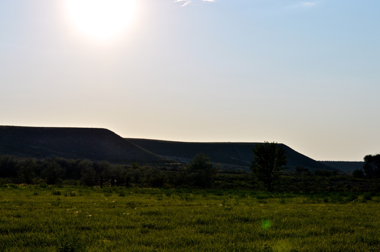 Olathe-Colorado-Hay-Farm-18.jpg