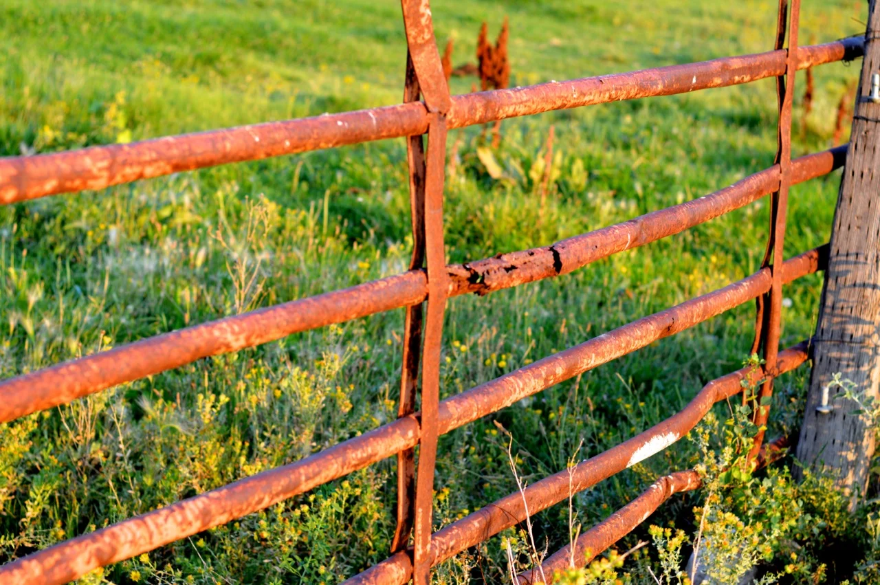 Olathe-Colorado-Hay-Farm-39.jpg