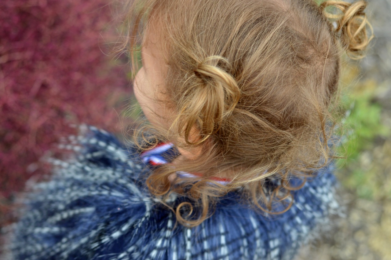 Nature-Walk-with-Toddlers-in-Colorado-4.jpg