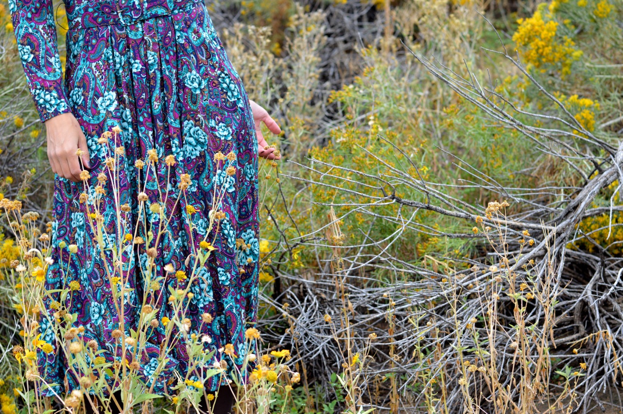Nature-Walk-with-Toddlers-in-Colorado-15.jpg