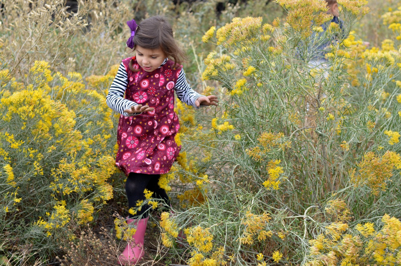 Nature-Walk-with-Toddlers-in-Colorado-22.jpg