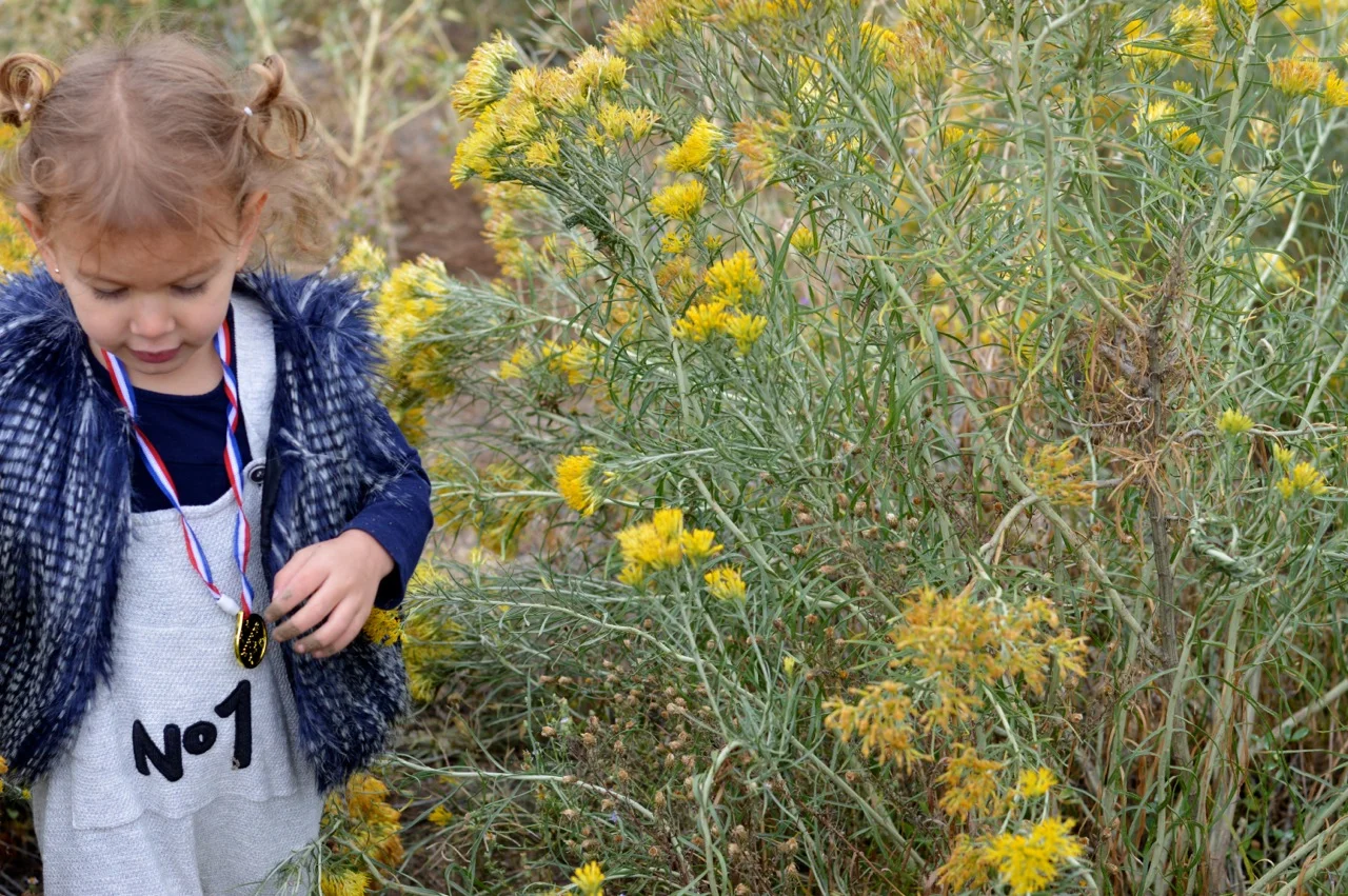 Nature-Walk-with-Toddlers-in-Colorado-23.jpg