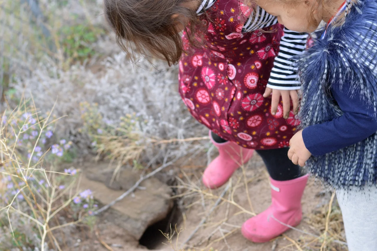 Nature-Walk-with-Toddlers-in-Colorado-24.jpg