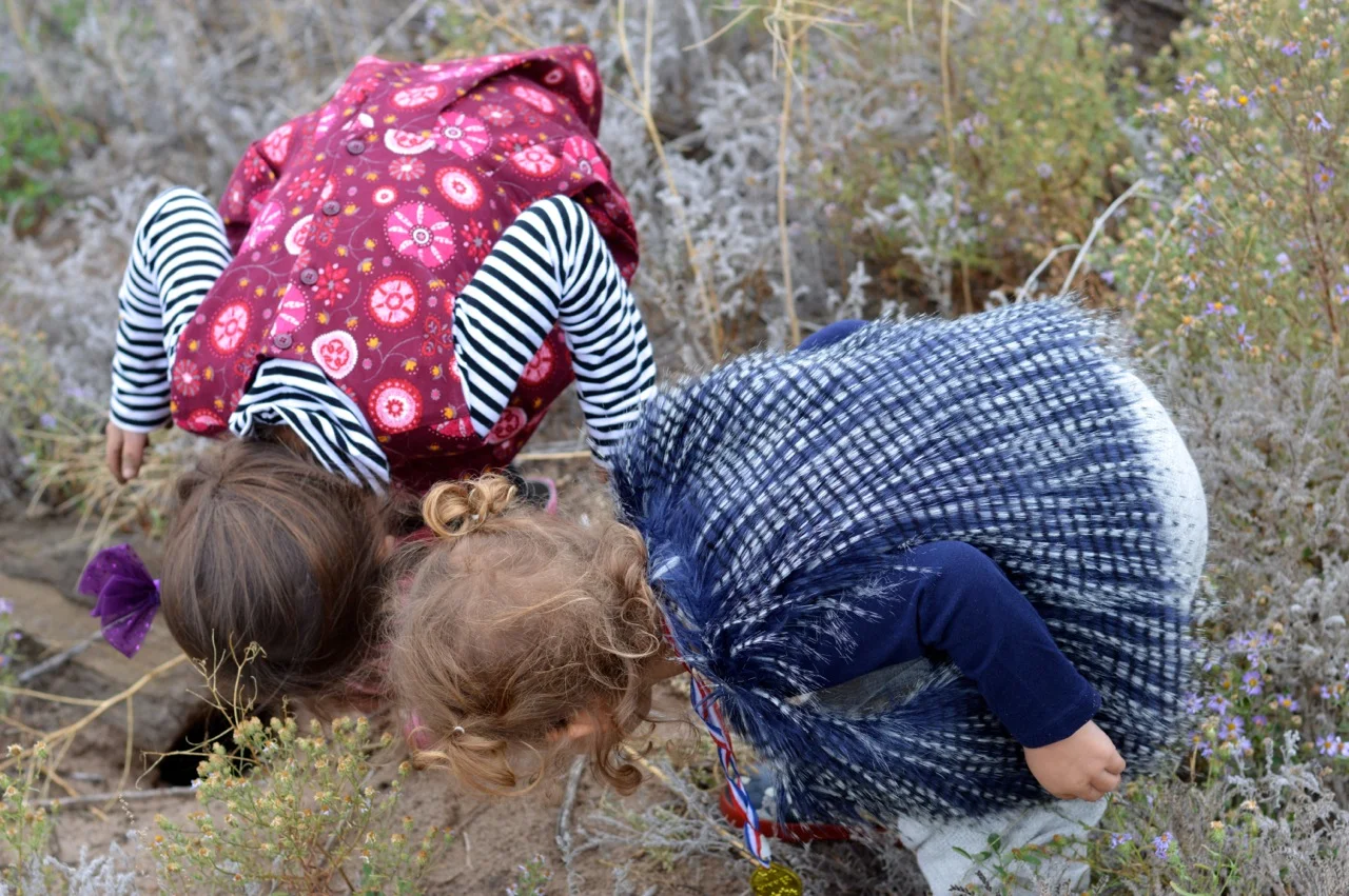 Nature-Walk-with-Toddlers-in-Colorado-25.jpg