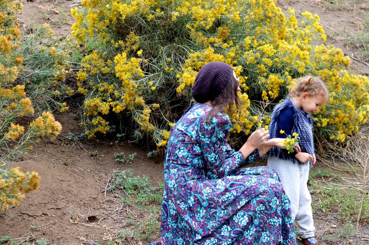 Nature-Walk-with-Toddlers-in-Colorado-30.jpg