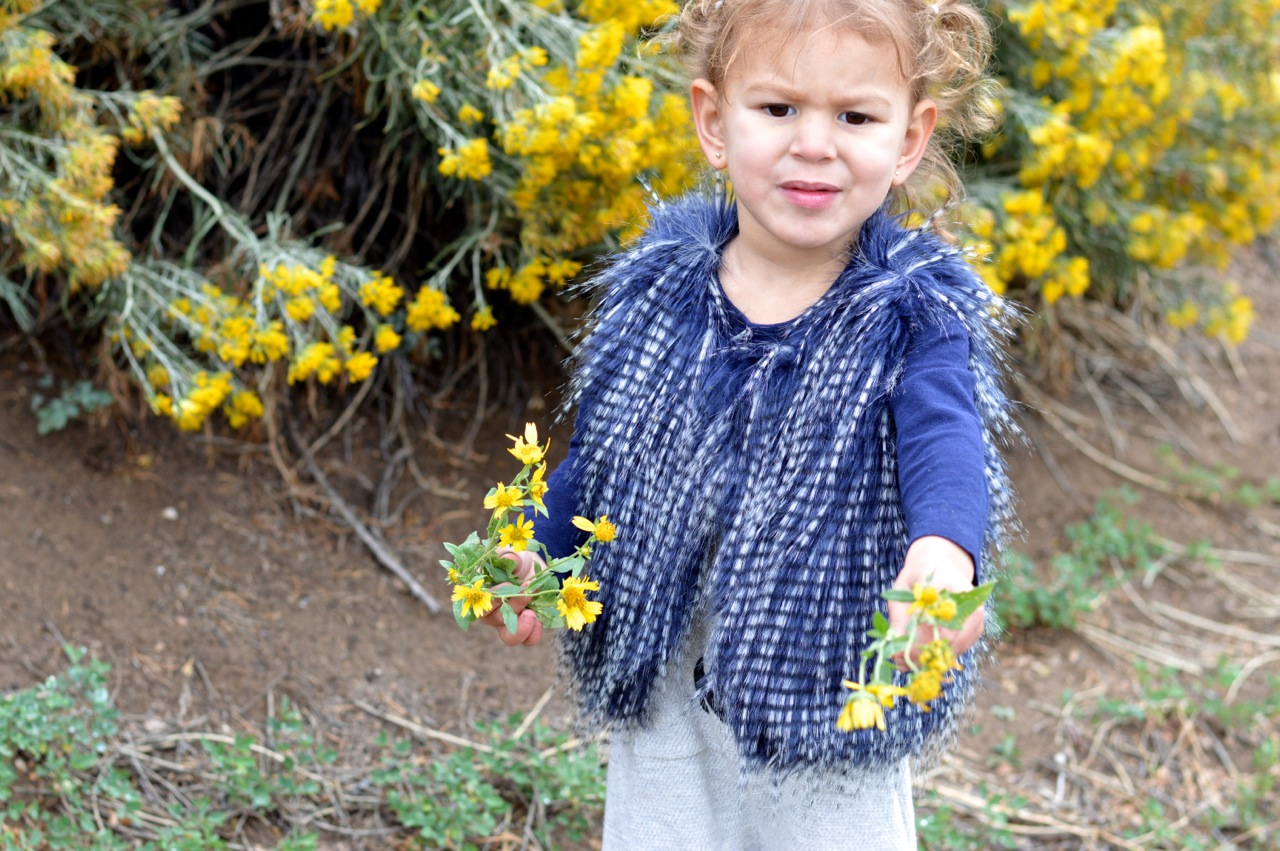 Nature-Walk-with-Toddlers-in-Colorado-32.jpg