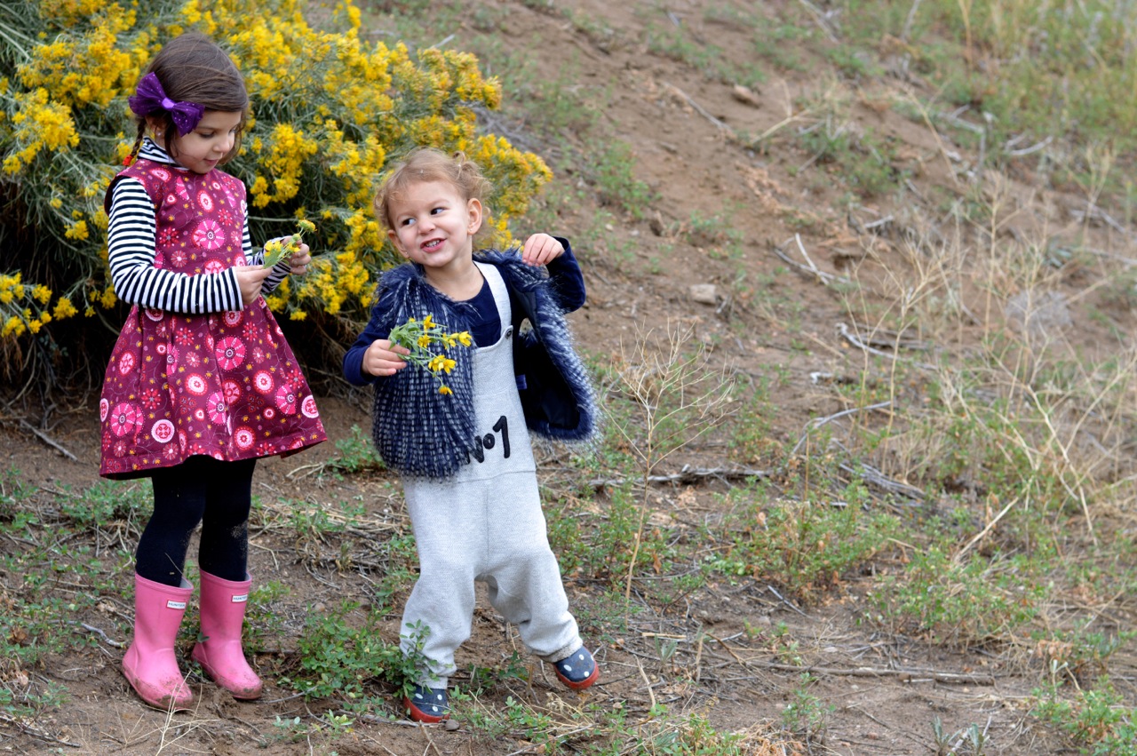 Nature-Walk-with-Toddlers-in-Colorado-37.jpg