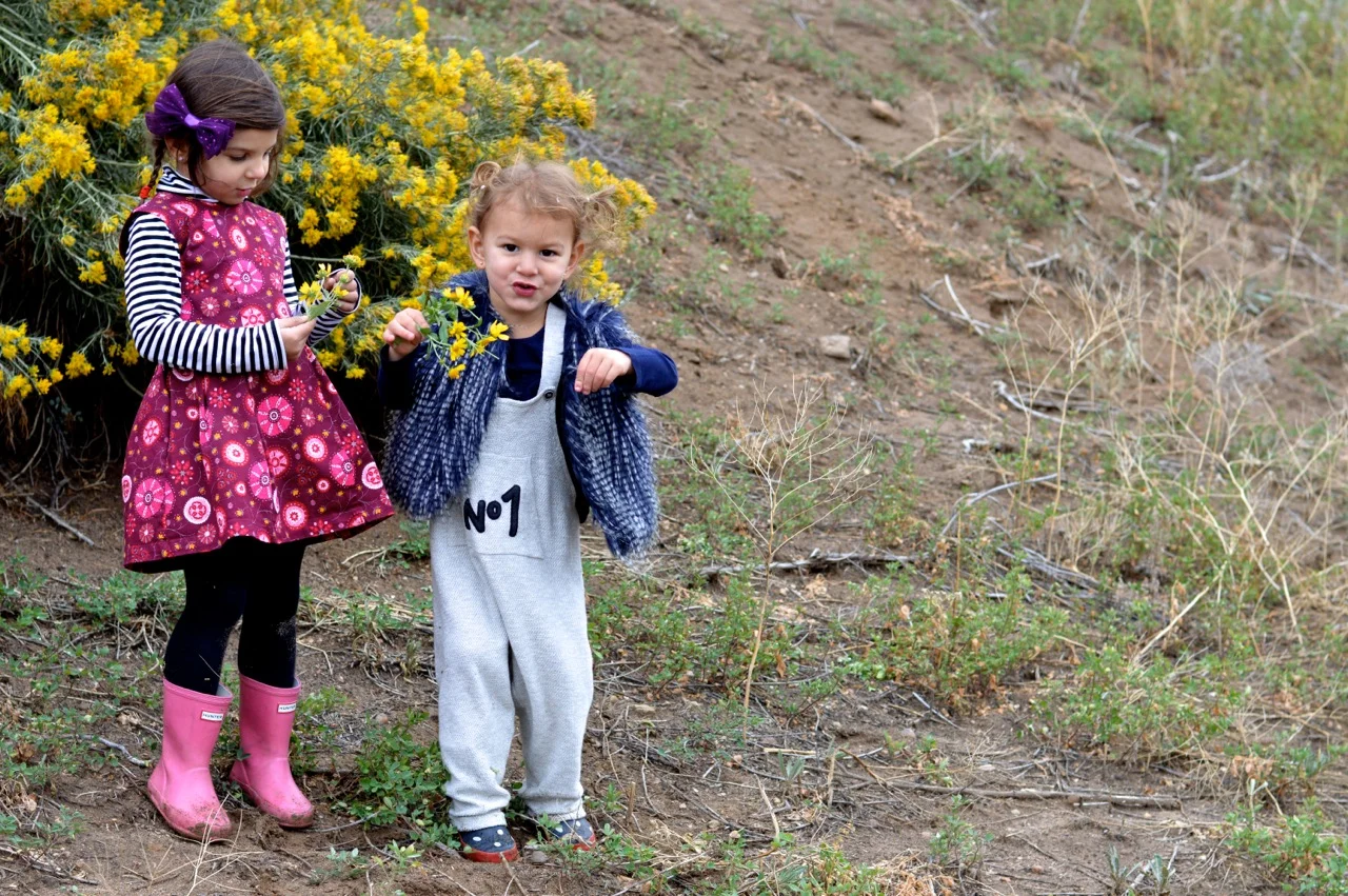 Nature-Walk-with-Toddlers-in-Colorado-38.jpg