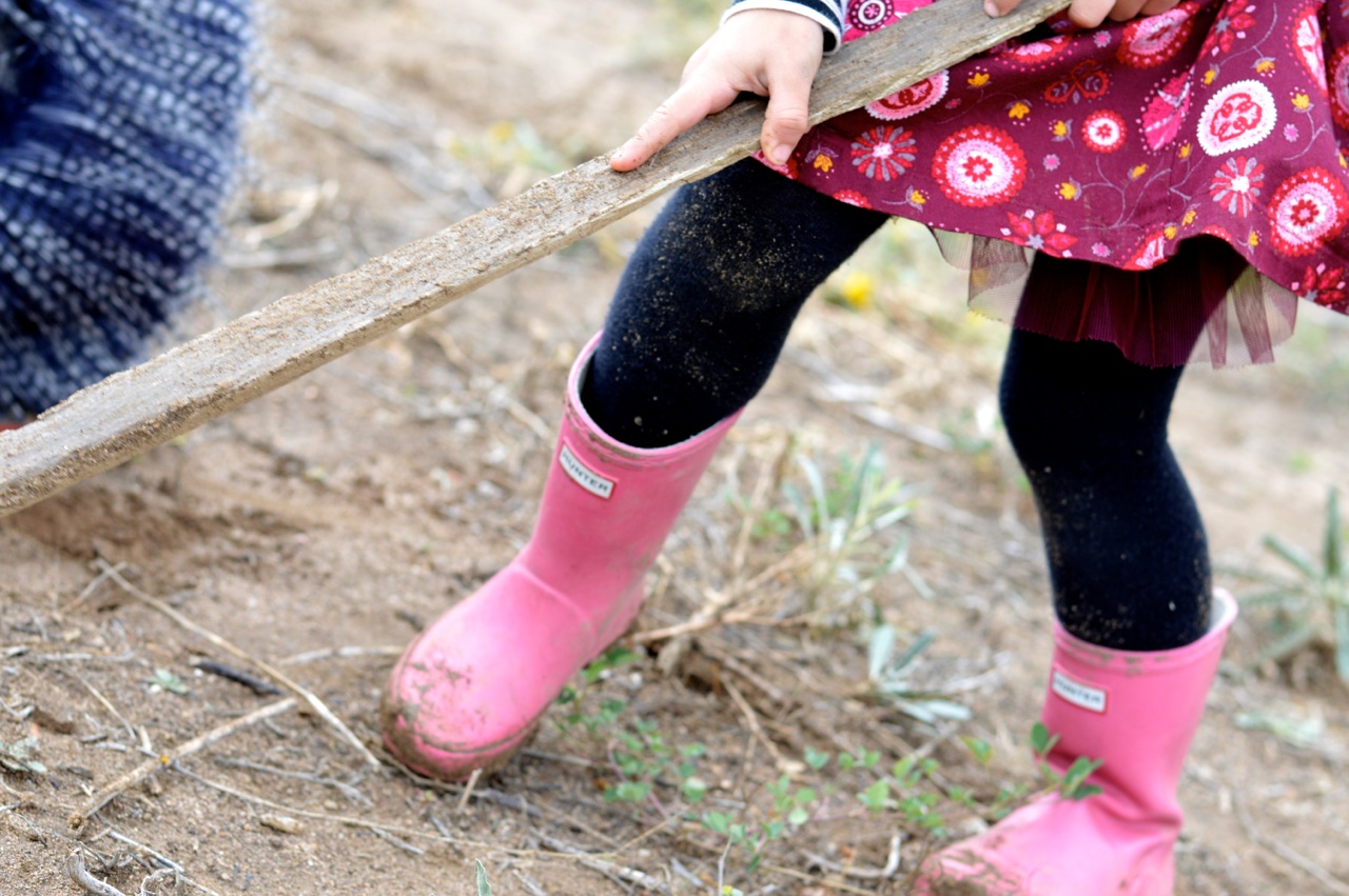 Nature-Walk-with-Toddlers-in-Colorado-56.jpg