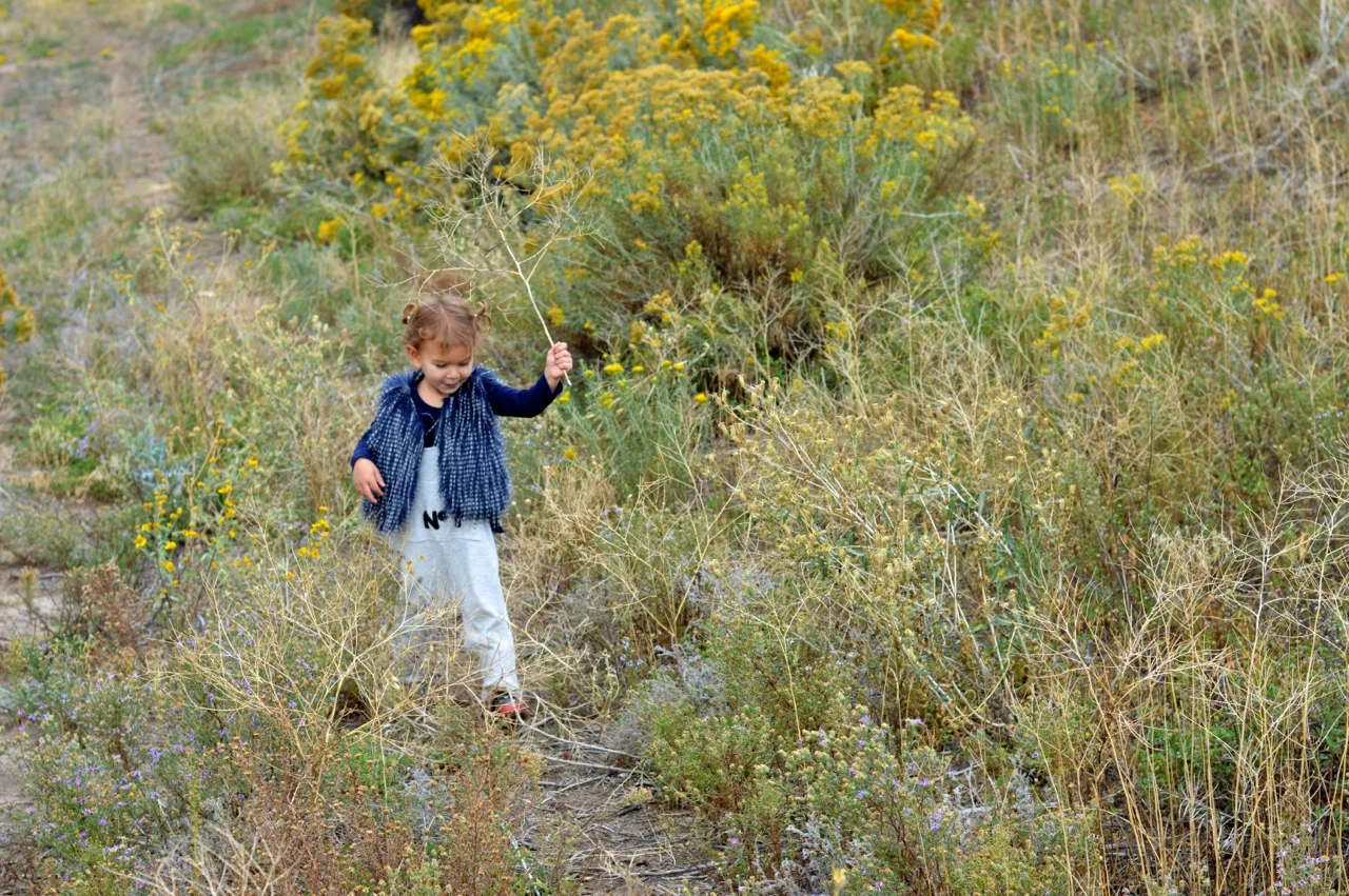 Nature-Walk-with-Toddlers-in-Colorado-58.jpg