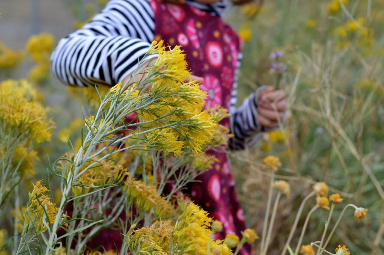 Nature-Walk-with-Toddlers-in-Colorado-60.jpg