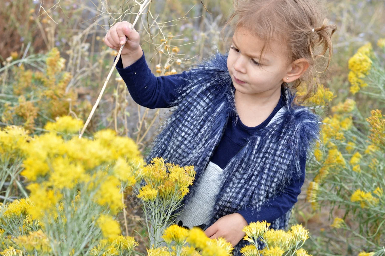 Nature-Walk-with-Toddlers-in-Colorado-64.jpg