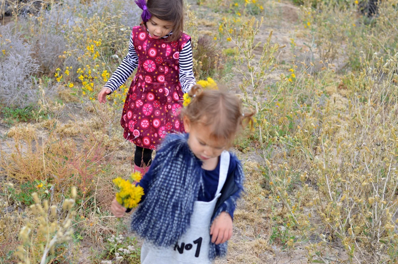 Nature-Walk-with-Toddlers-in-Colorado-69.jpg