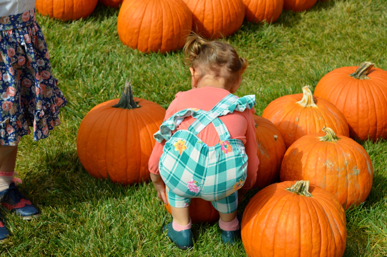 Church-Pumpkin-Patch-Aurora-Colorado-1.jpg