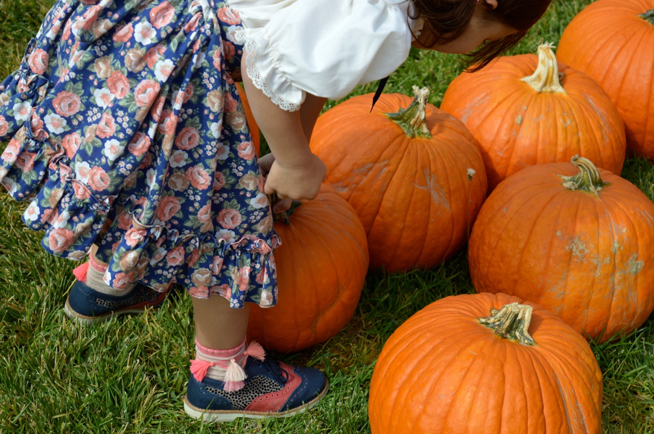 Church-Pumpkin-Patch-Aurora-Colorado-2.jpg
