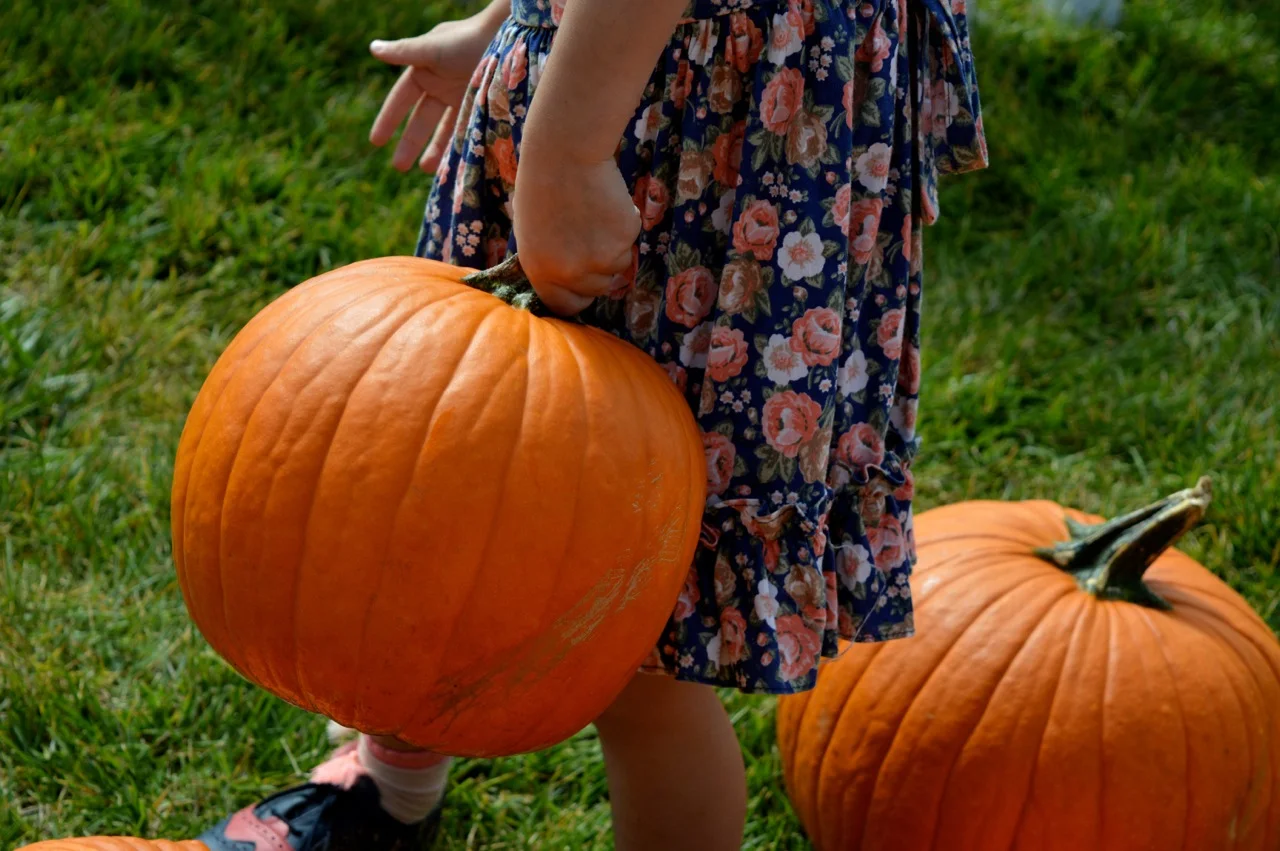 Church-Pumpkin-Patch-Aurora-Colorado-3.jpg