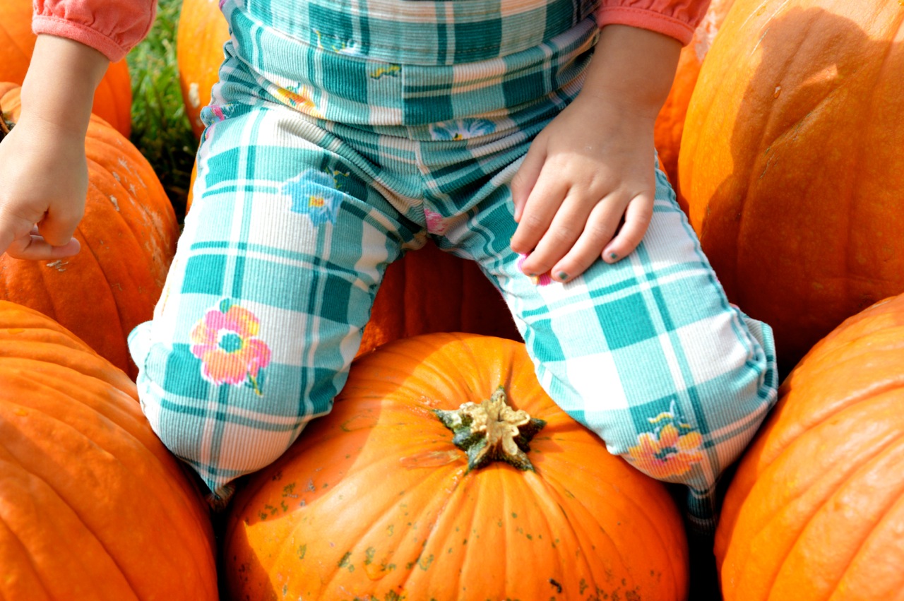 Church-Pumpkin-Patch-Aurora-Colorado-4.jpg