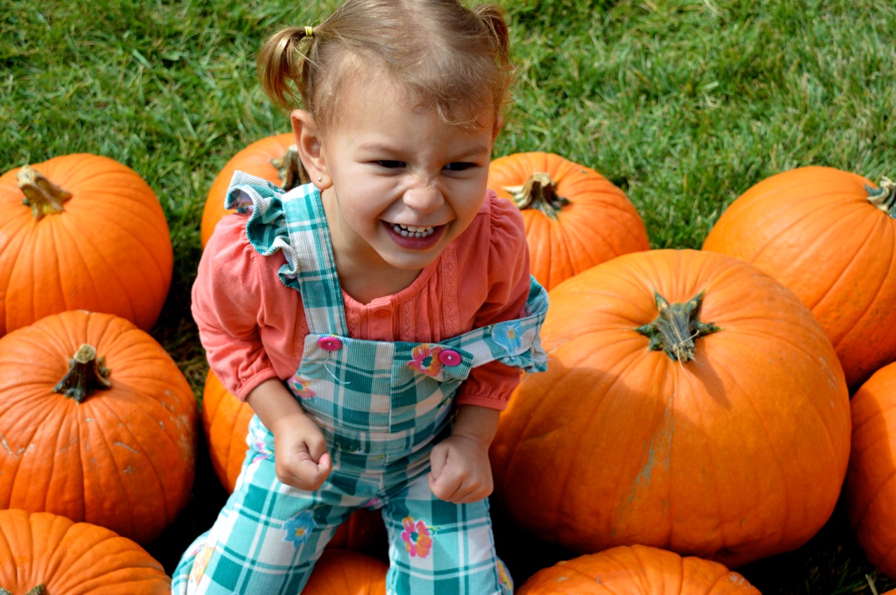Church-Pumpkin-Patch-Aurora-Colorado-5.jpg
