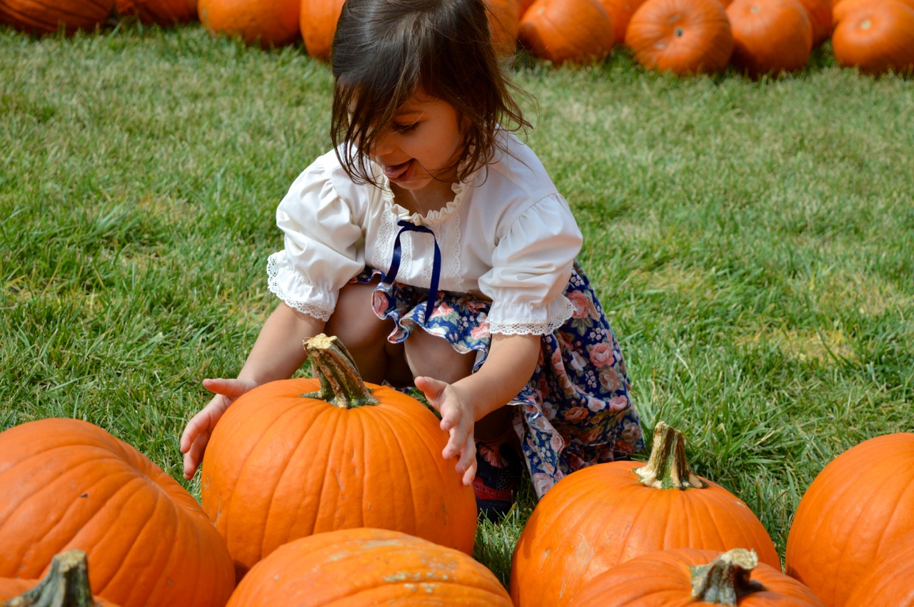 Church-Pumpkin-Patch-Aurora-Colorado-6.jpg