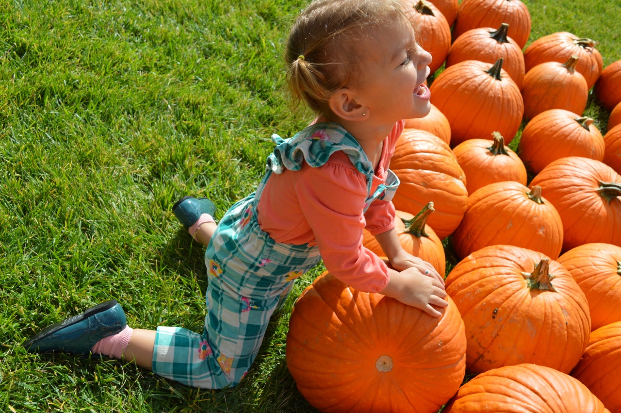 Church-Pumpkin-Patch-Aurora-Colorado-9.jpg