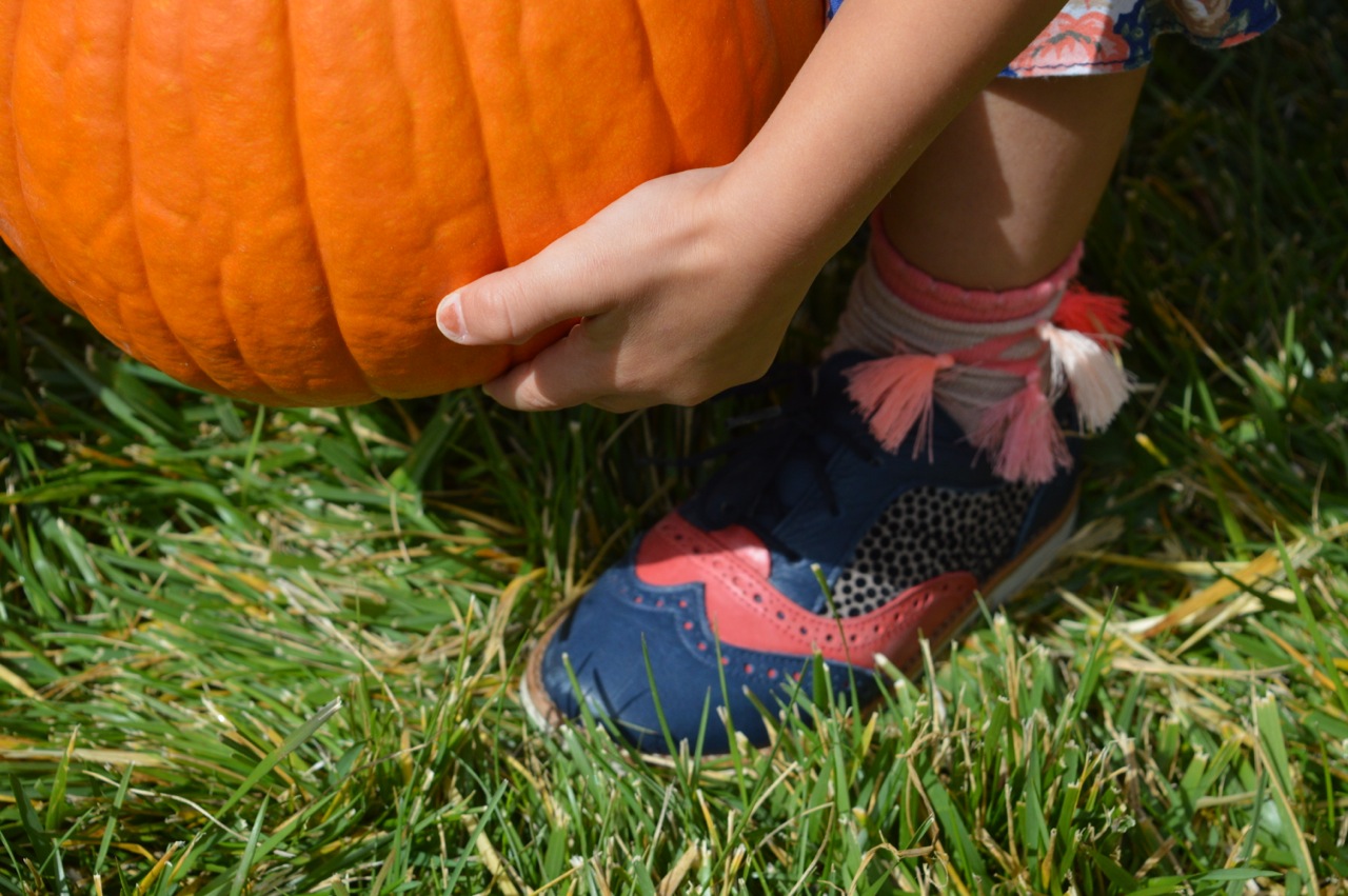Church-Pumpkin-Patch-Aurora-Colorado-13.jpg