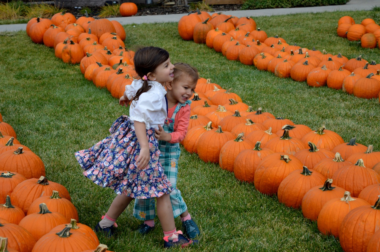 Church-Pumpkin-Patch-Aurora-Colorado-25.jpg