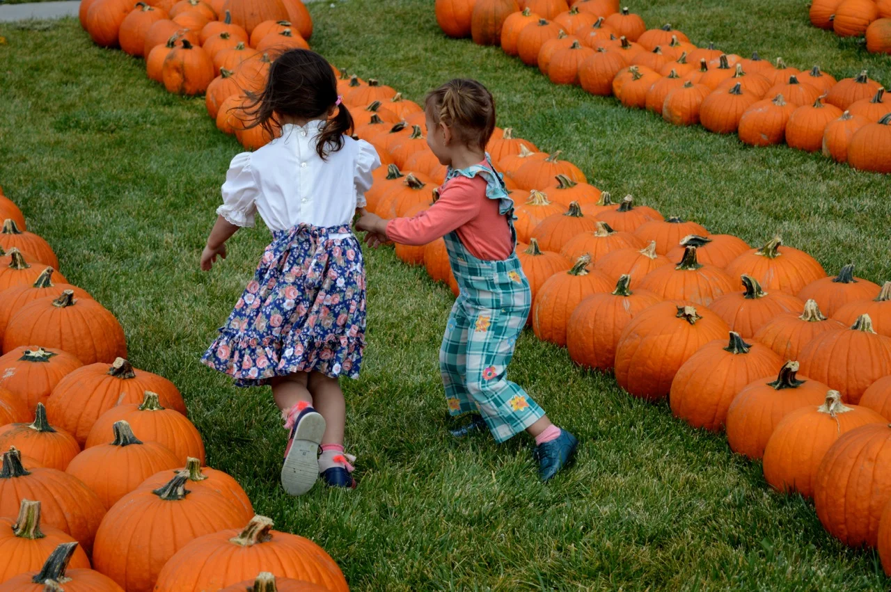 Church-Pumpkin-Patch-Aurora-Colorado-26.jpg