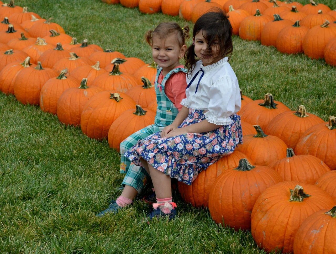 Church-Pumpkin-Patch-Aurora-Colorado-29.jpg