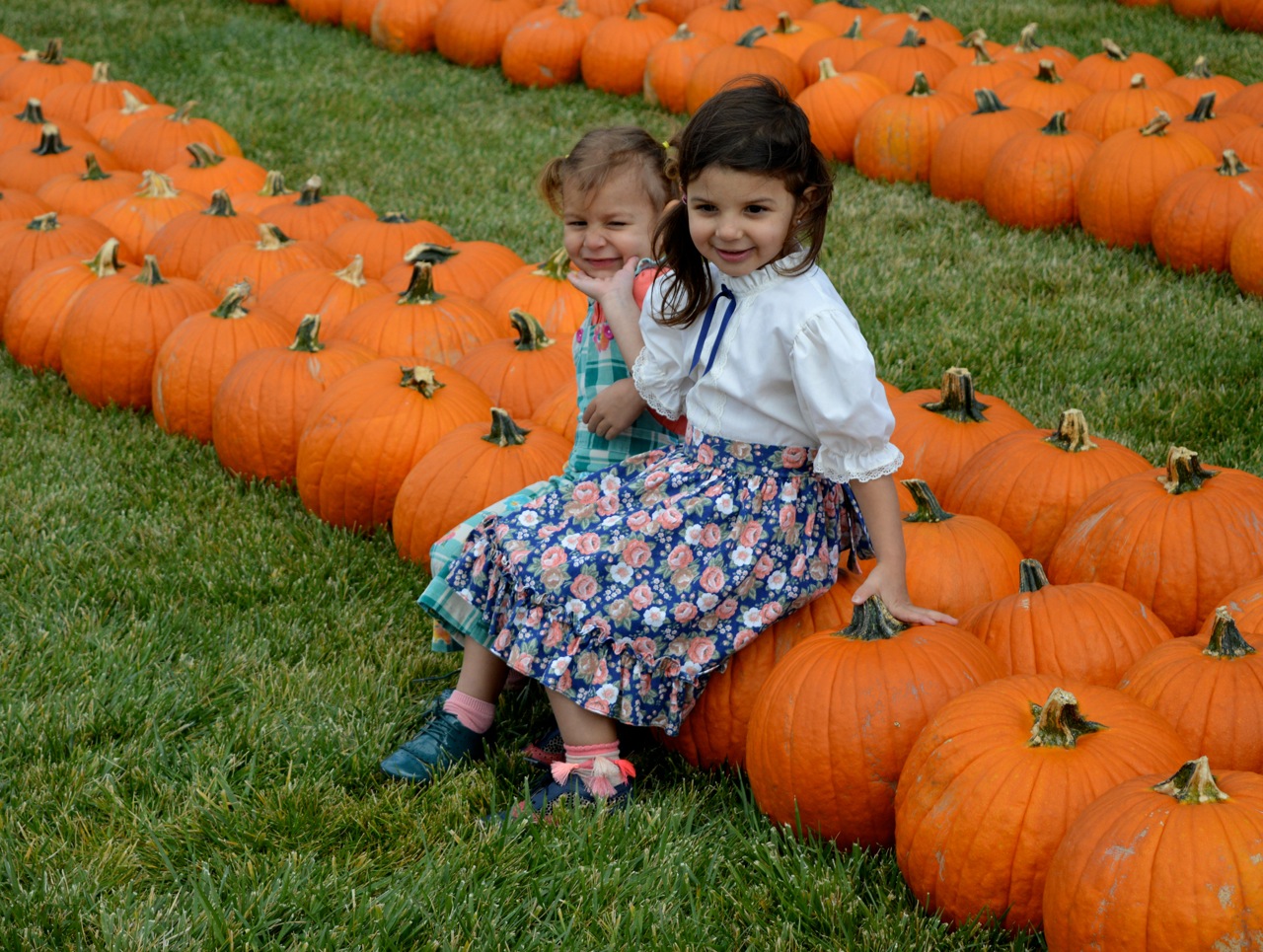Church-Pumpkin-Patch-Aurora-Colorado-30.jpg