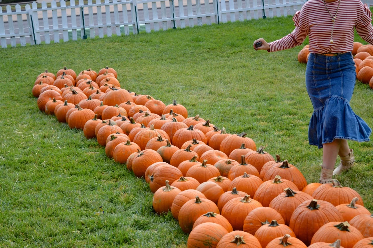 Church-Pumpkin-Patch-Aurora-Colorado-40.jpg