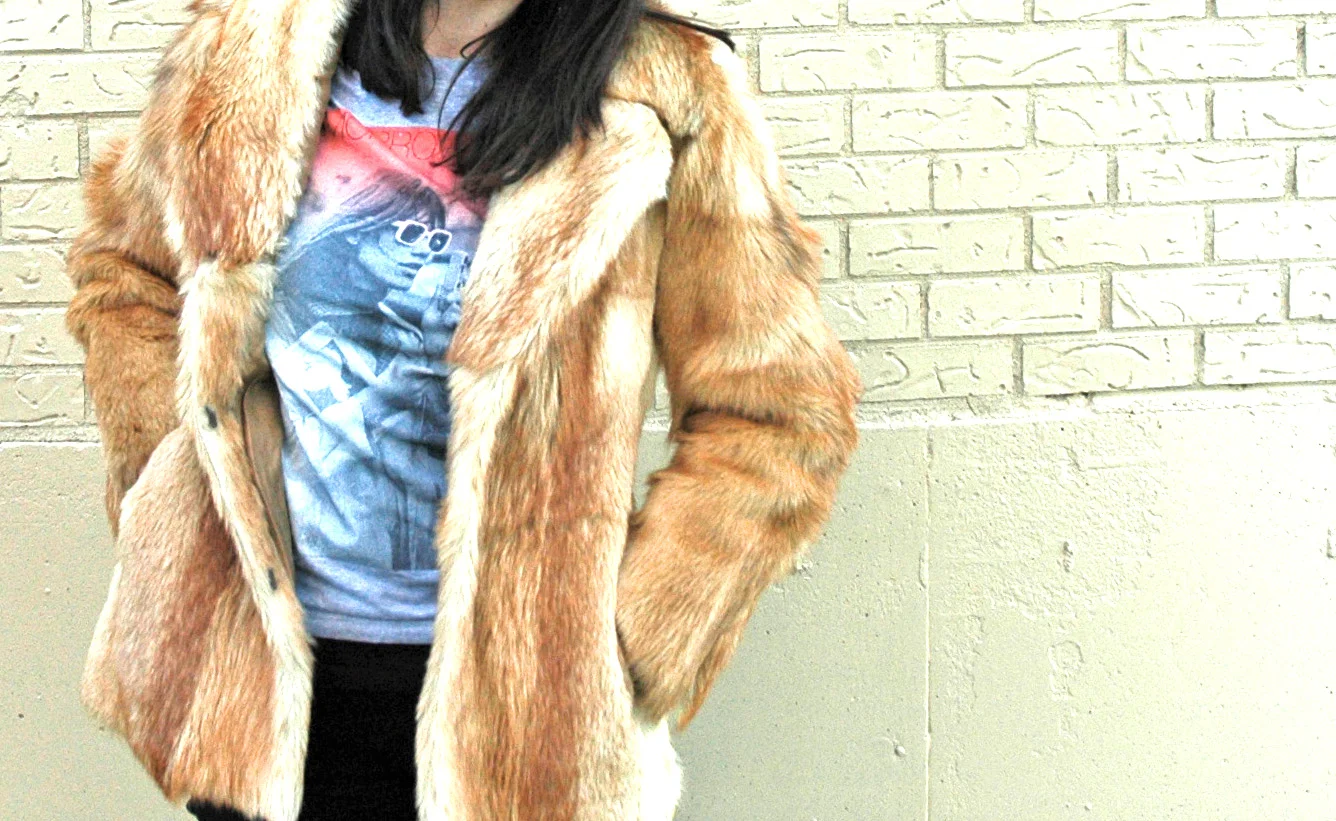 fur-cover-head-on_edited-2.jpg