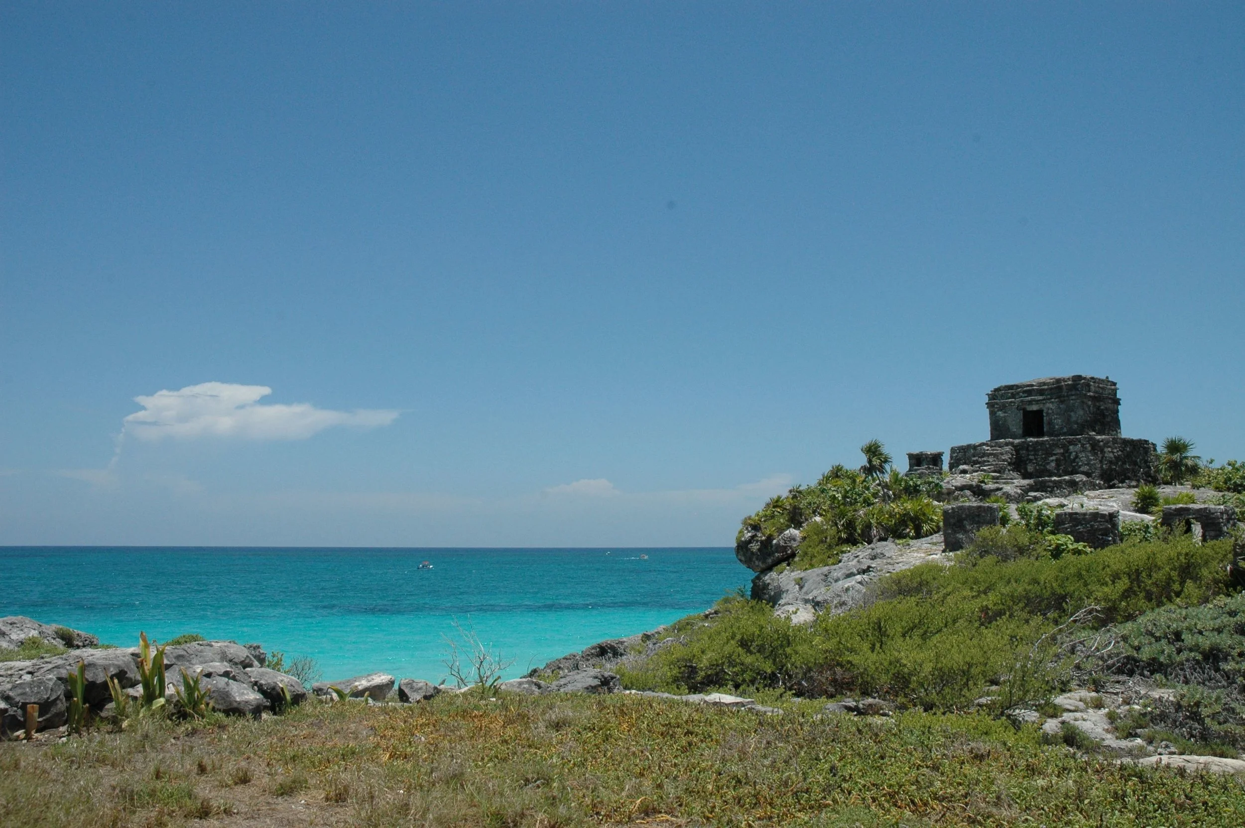 bm tulum scene