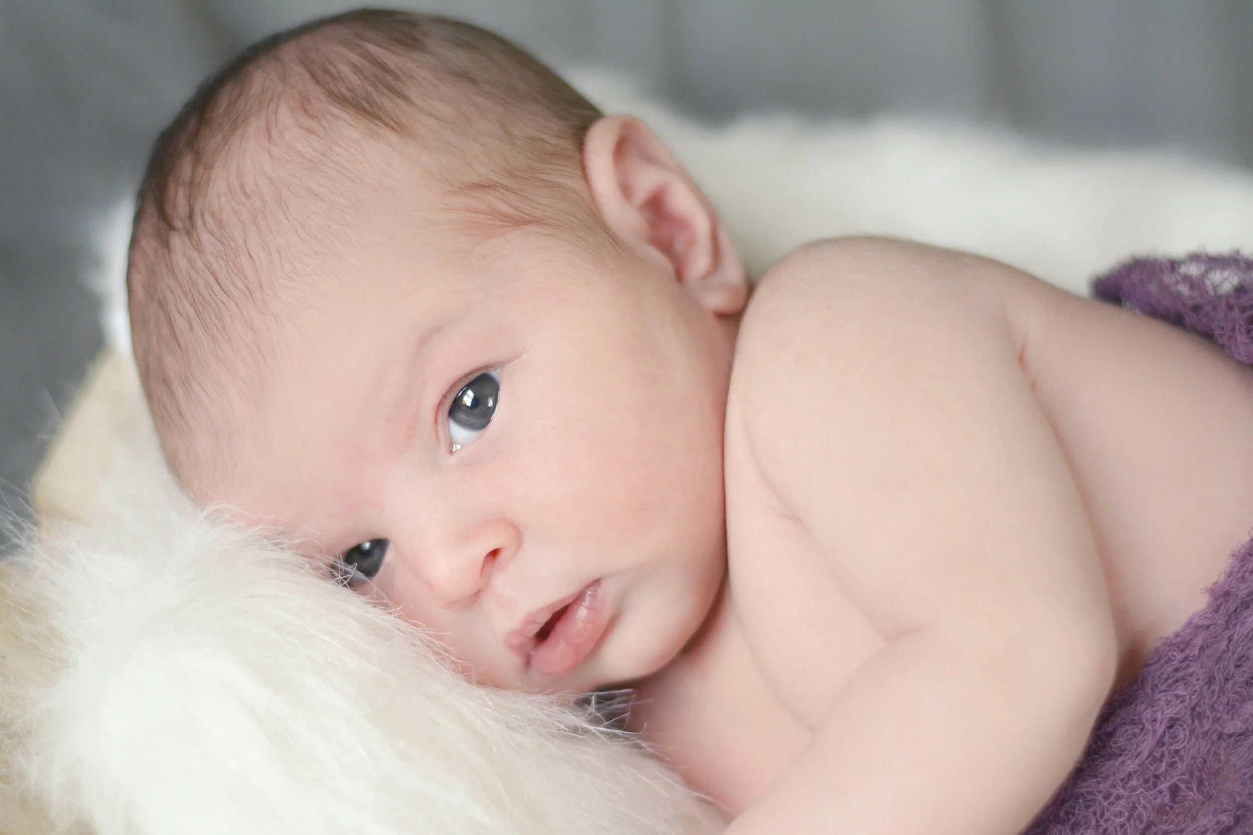 9.16.2014-Kayali-Arlo-1.jpg