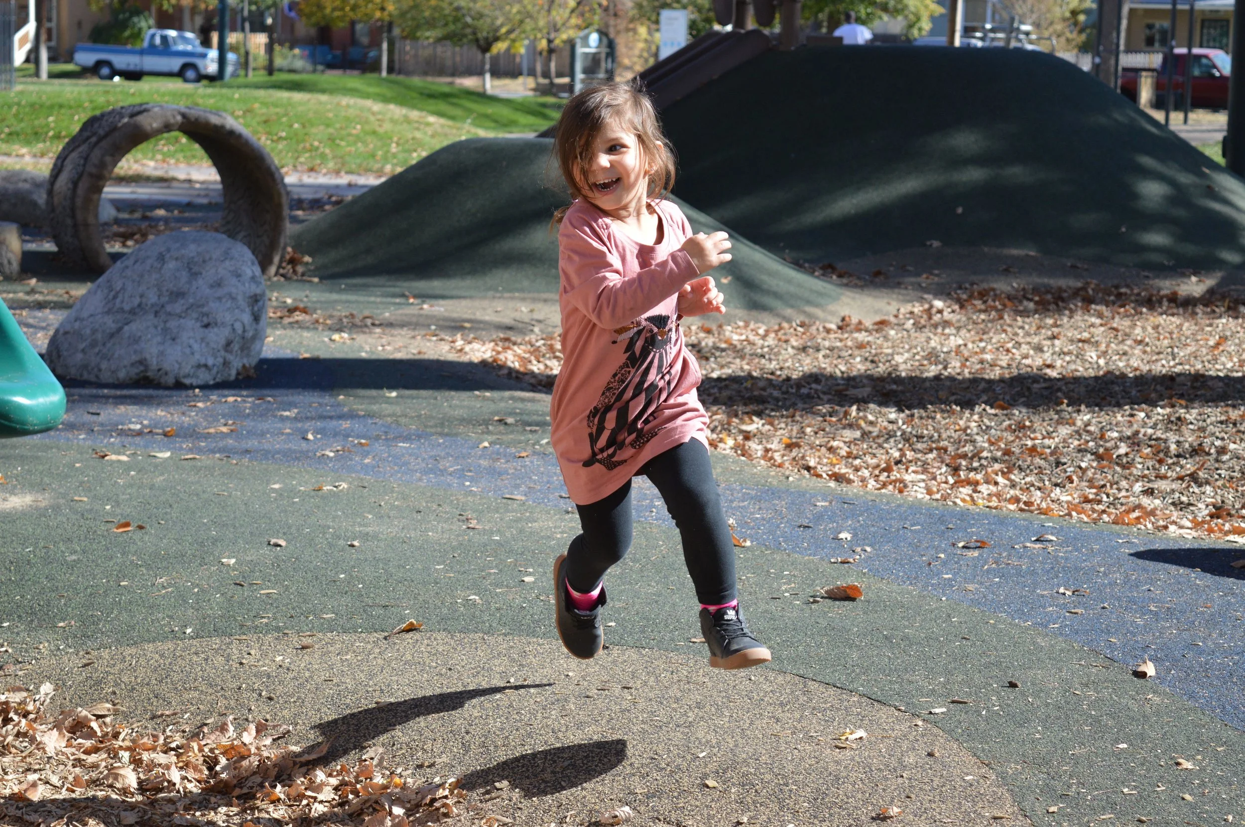 Remy running at park nov 2 2016.jpg