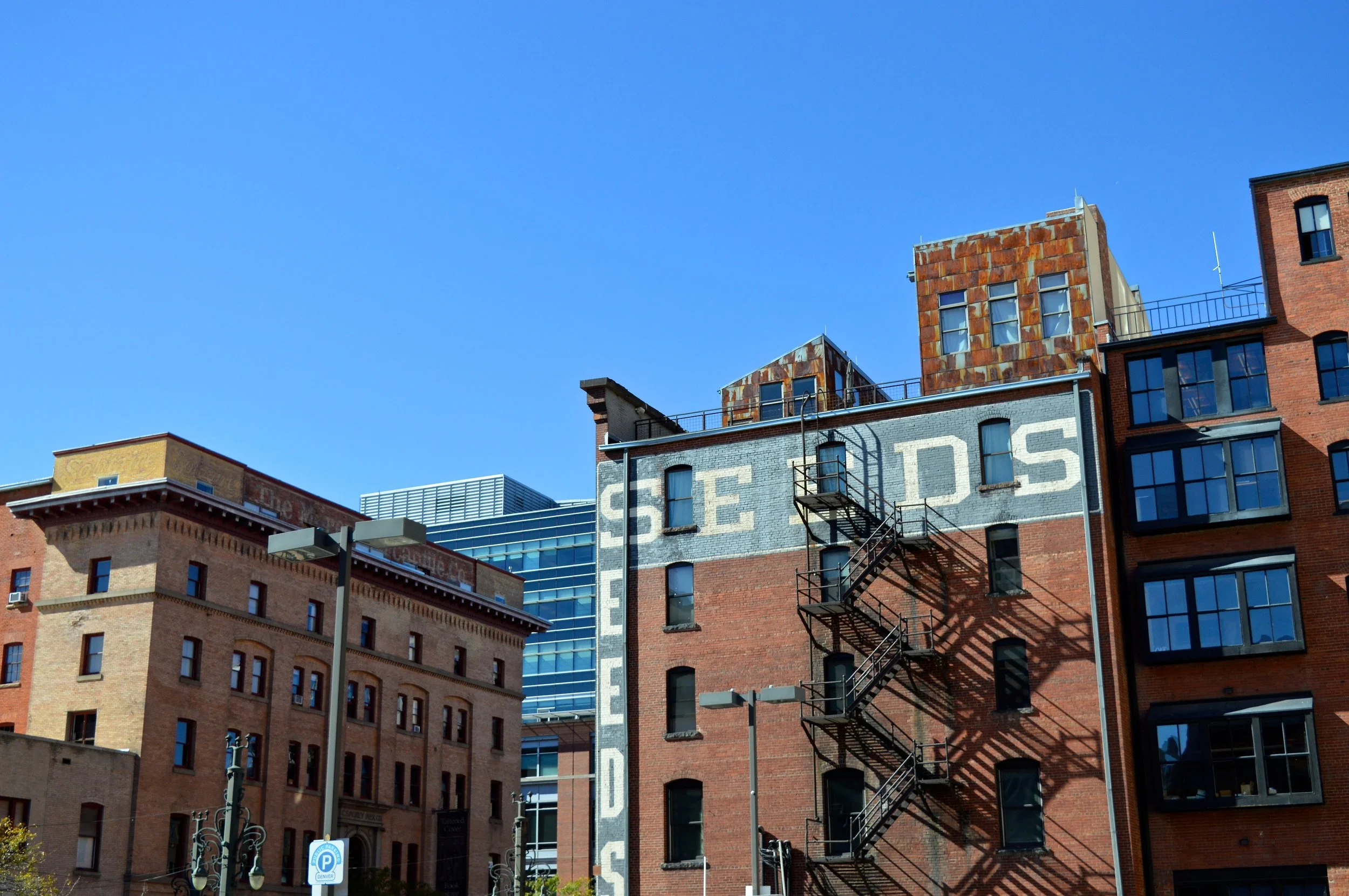 Downtown Denver LoDo Afternoon 1 .jpg