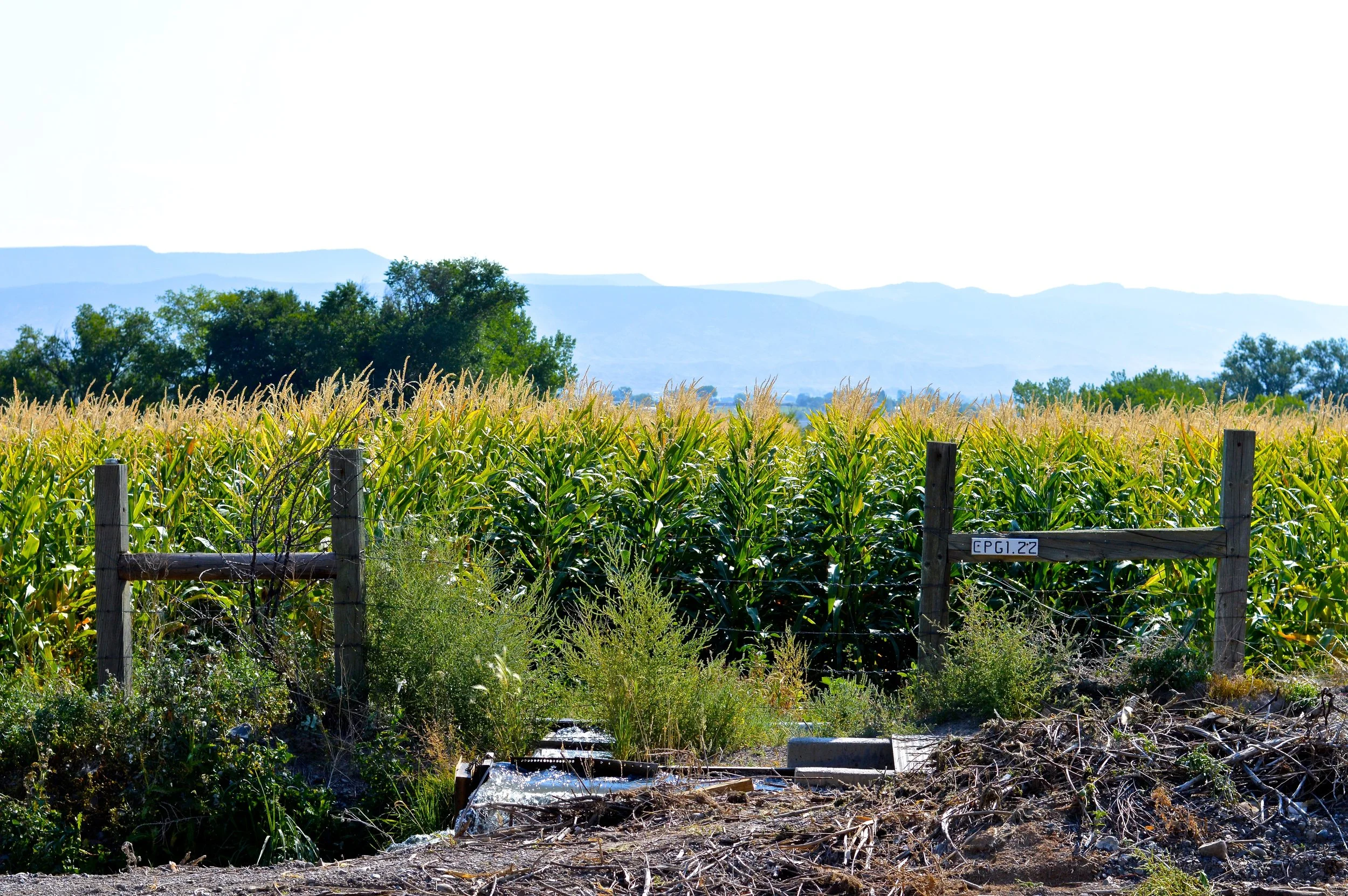 Olathe Colorado Farm 1.jpg