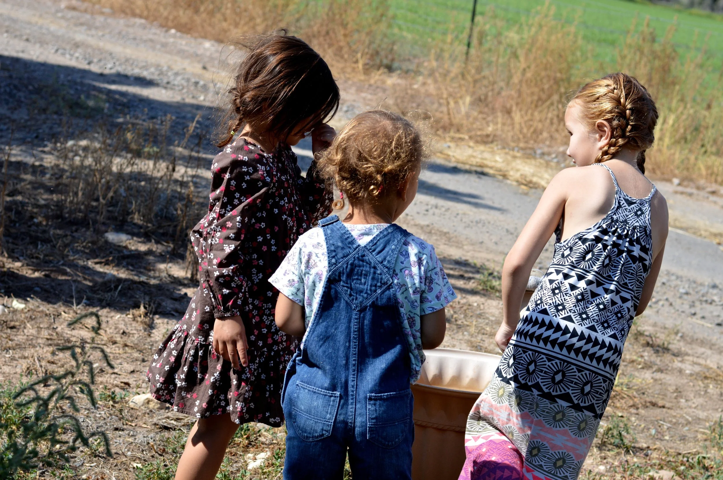 Olathe Colorado Farm 5.jpg