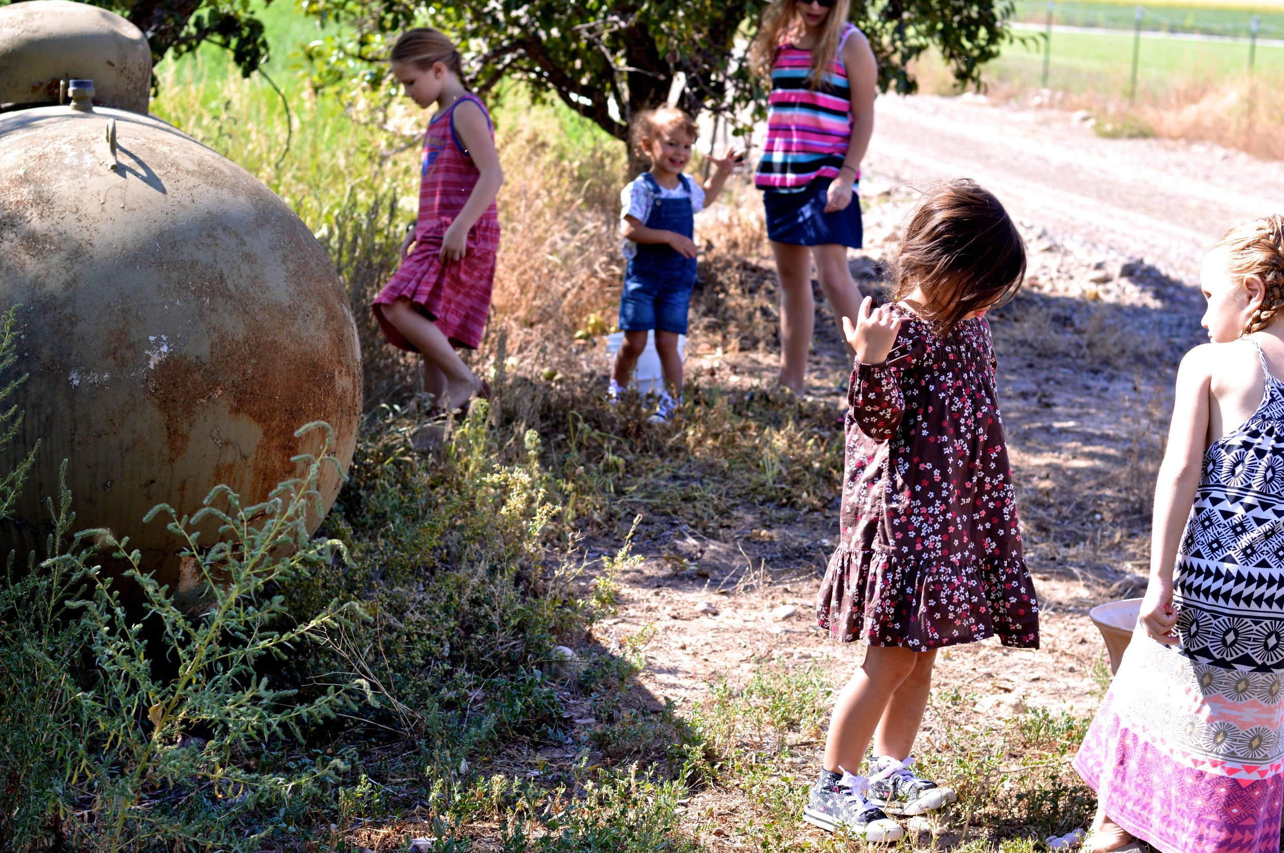 Olathe Colorado Farm 7.jpg
