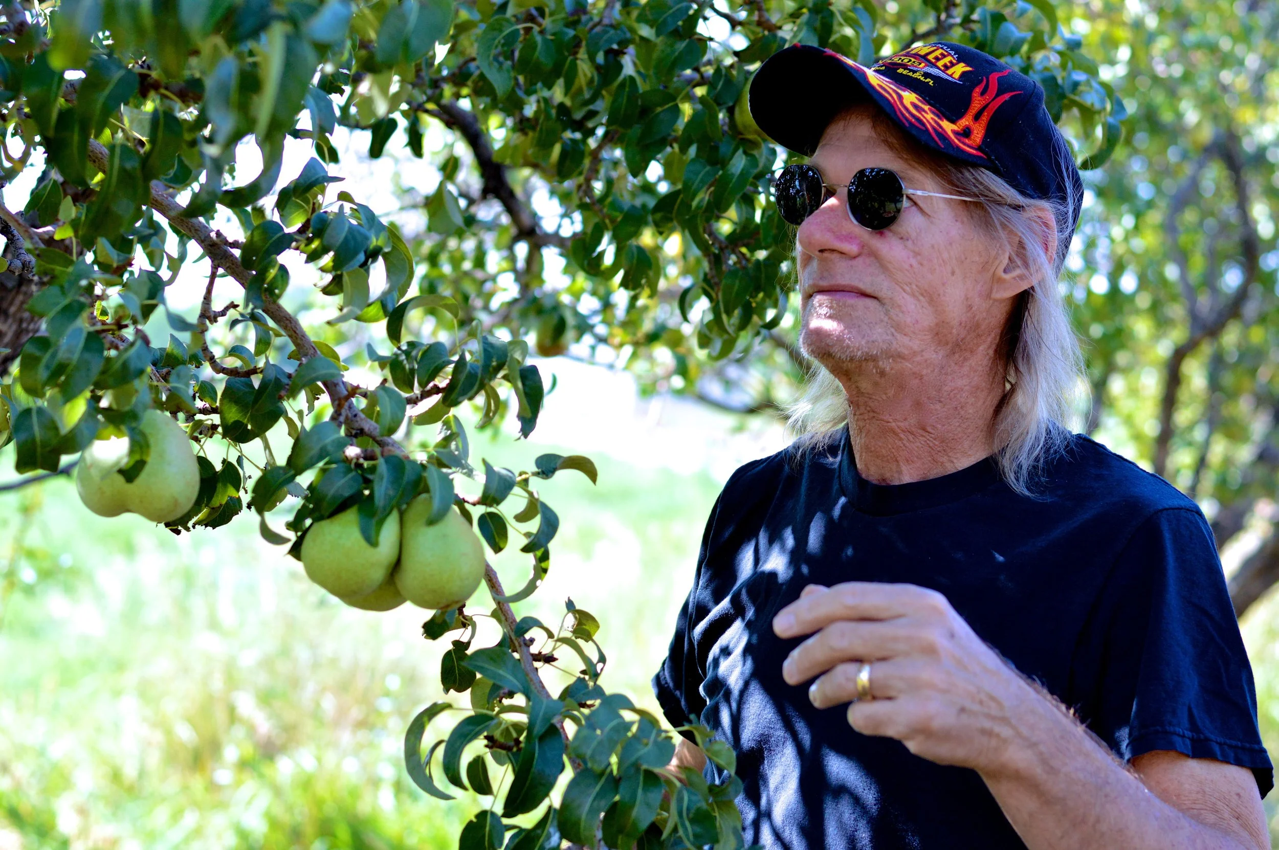 Olathe Colorado Farm 8.jpg