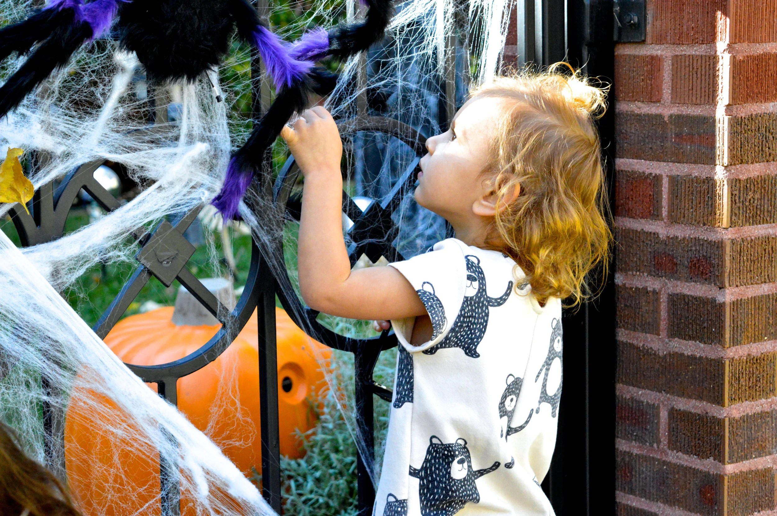Park Hill Denver Neighborhood in October Decorations 5.jpg