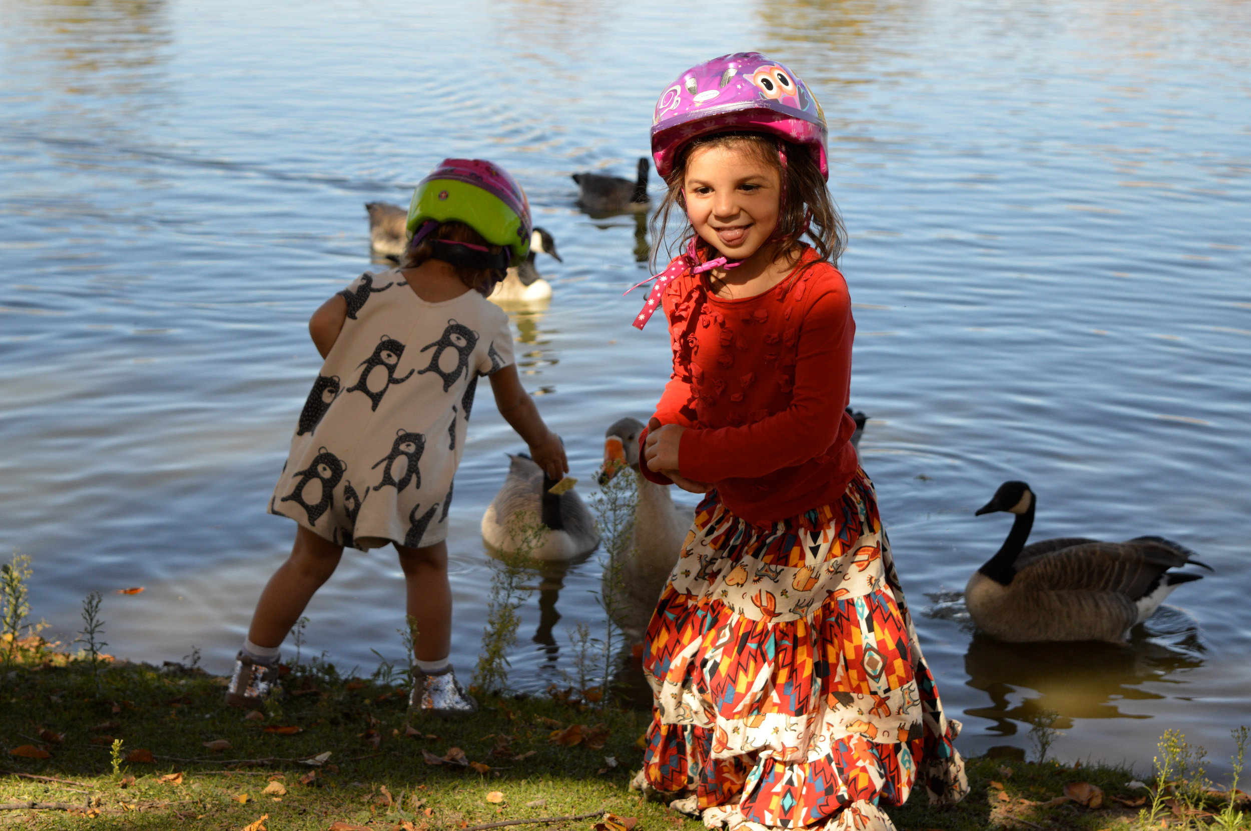 City Park Denver in Fall 2.jpg