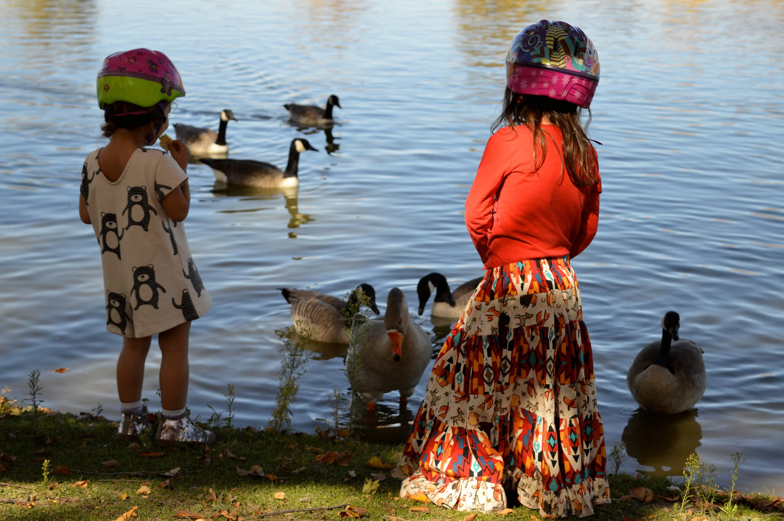 City Park Denver in Fall 1.jpg