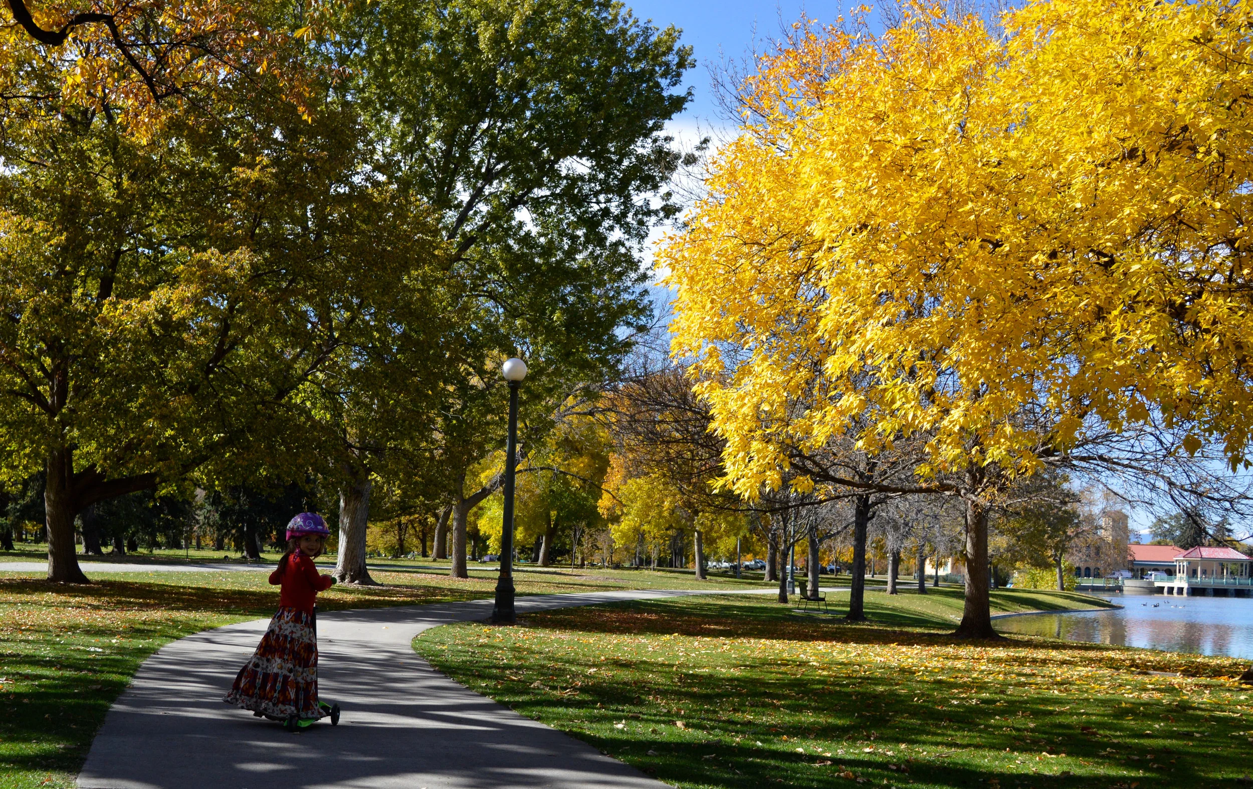 City Park Denver in Fall 4.jpg