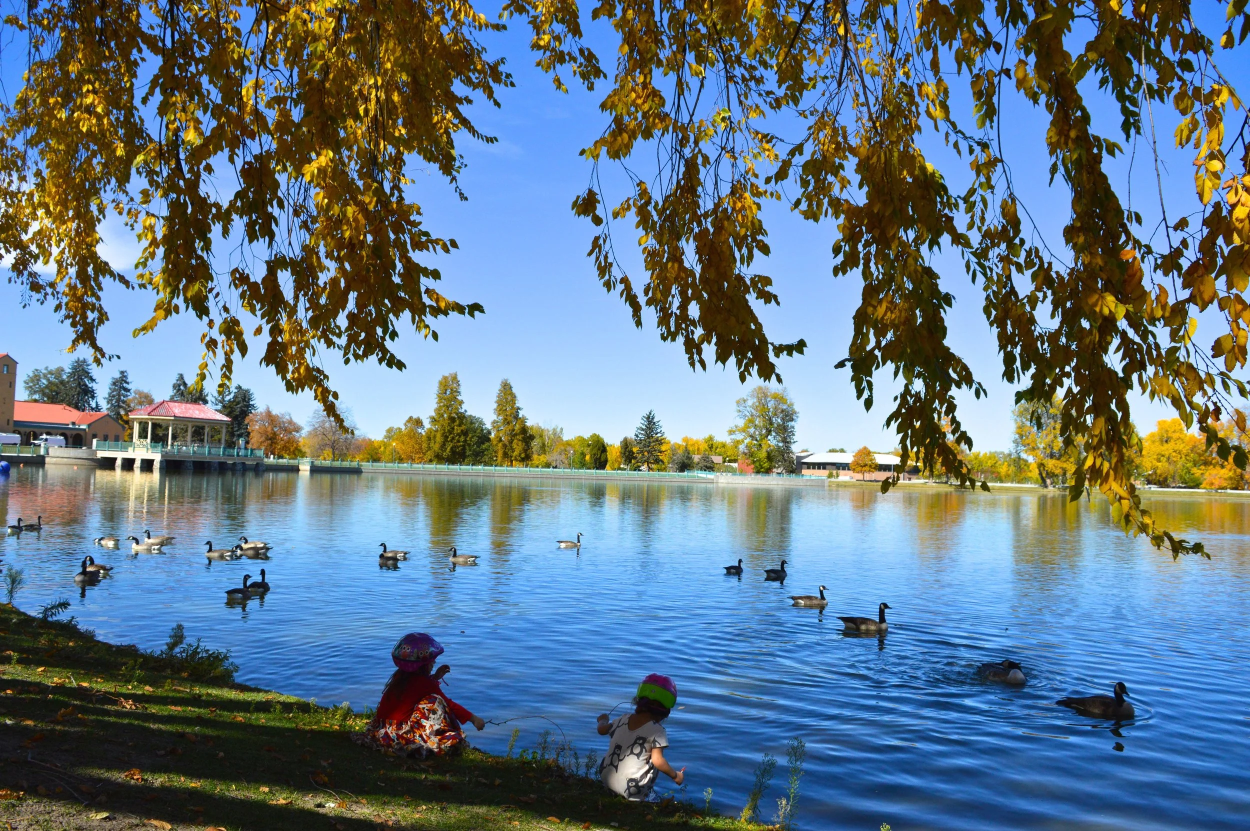 City Park Denver in Fall 1.1.jpg