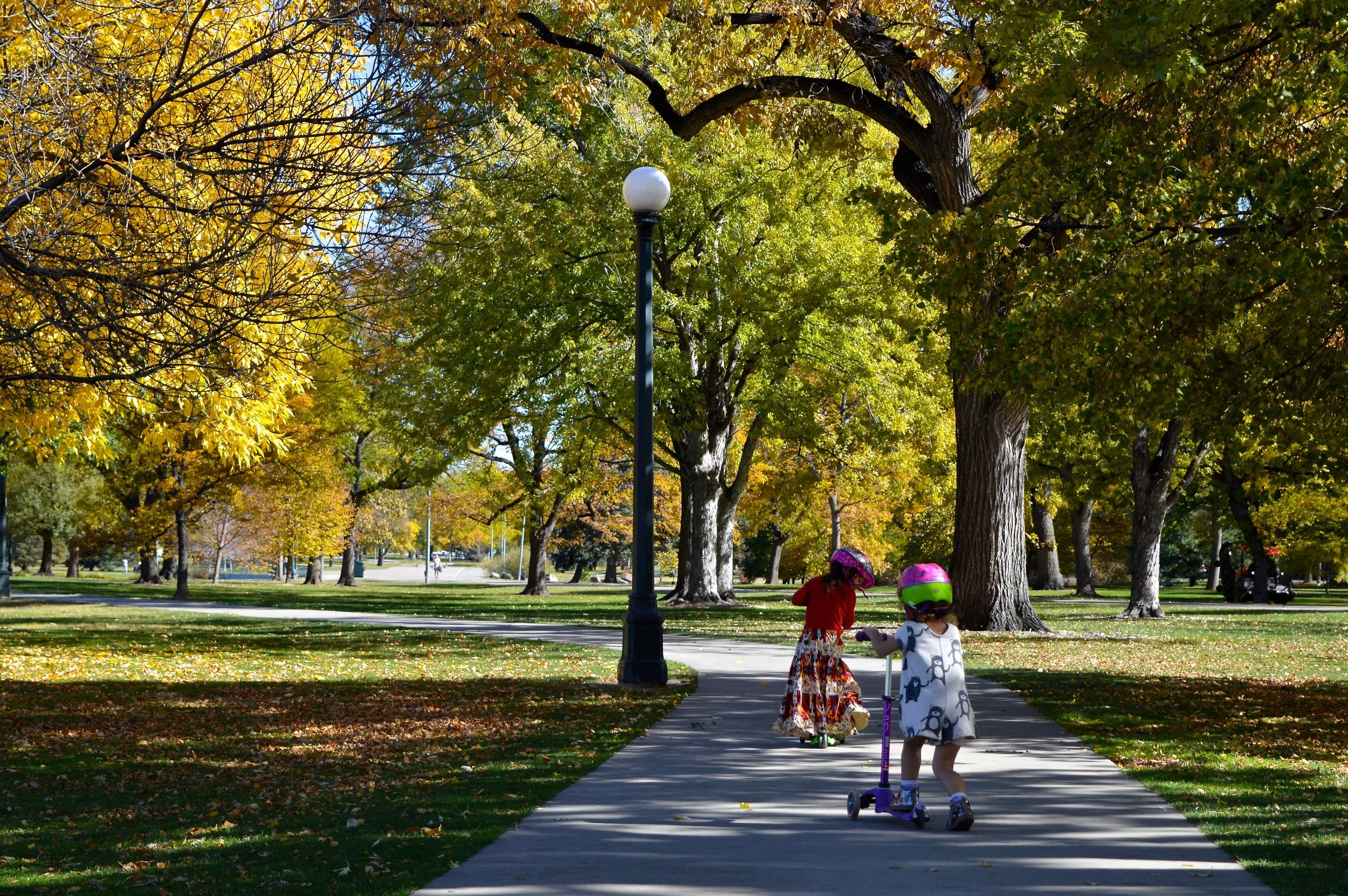 City Park Denver in Fall 5.5.jpg