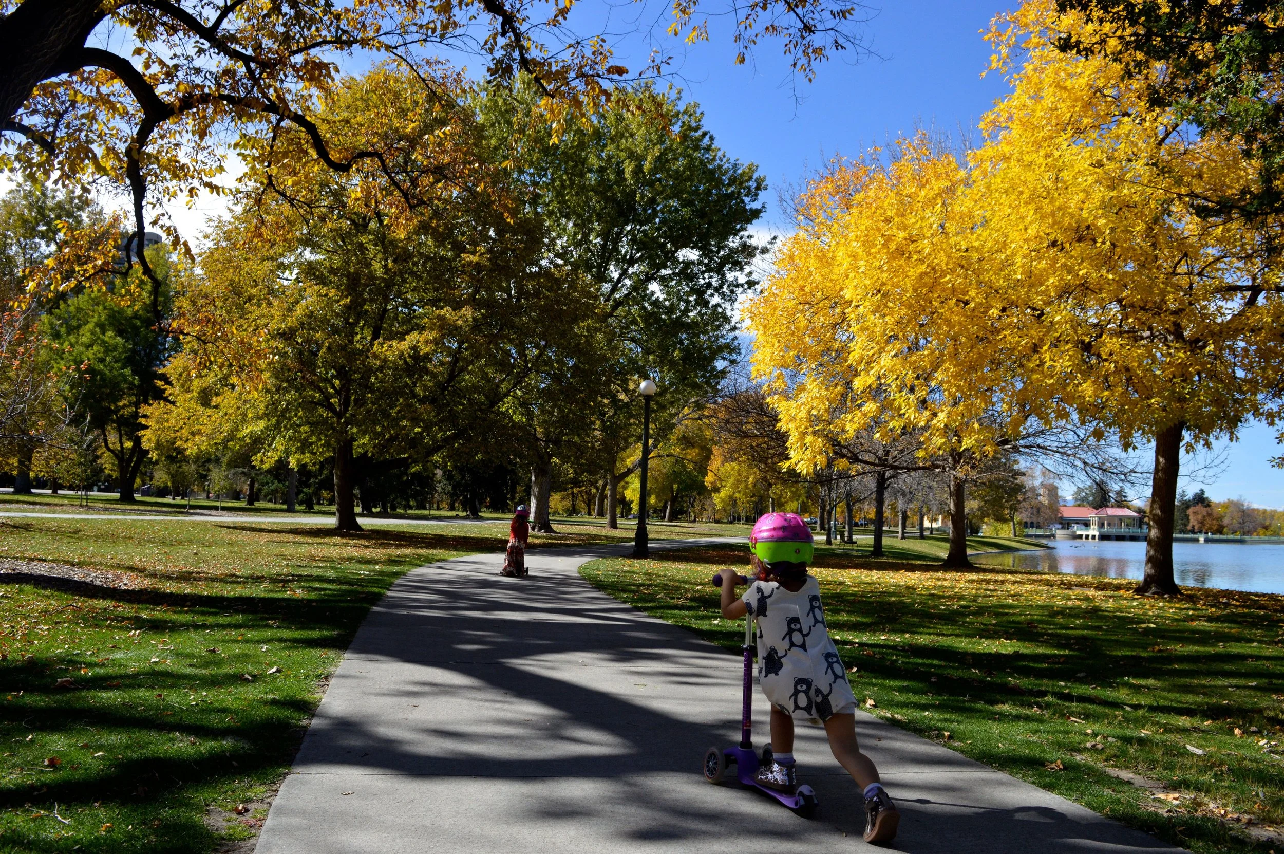 City Park Denver in Fall 6.6.jpg